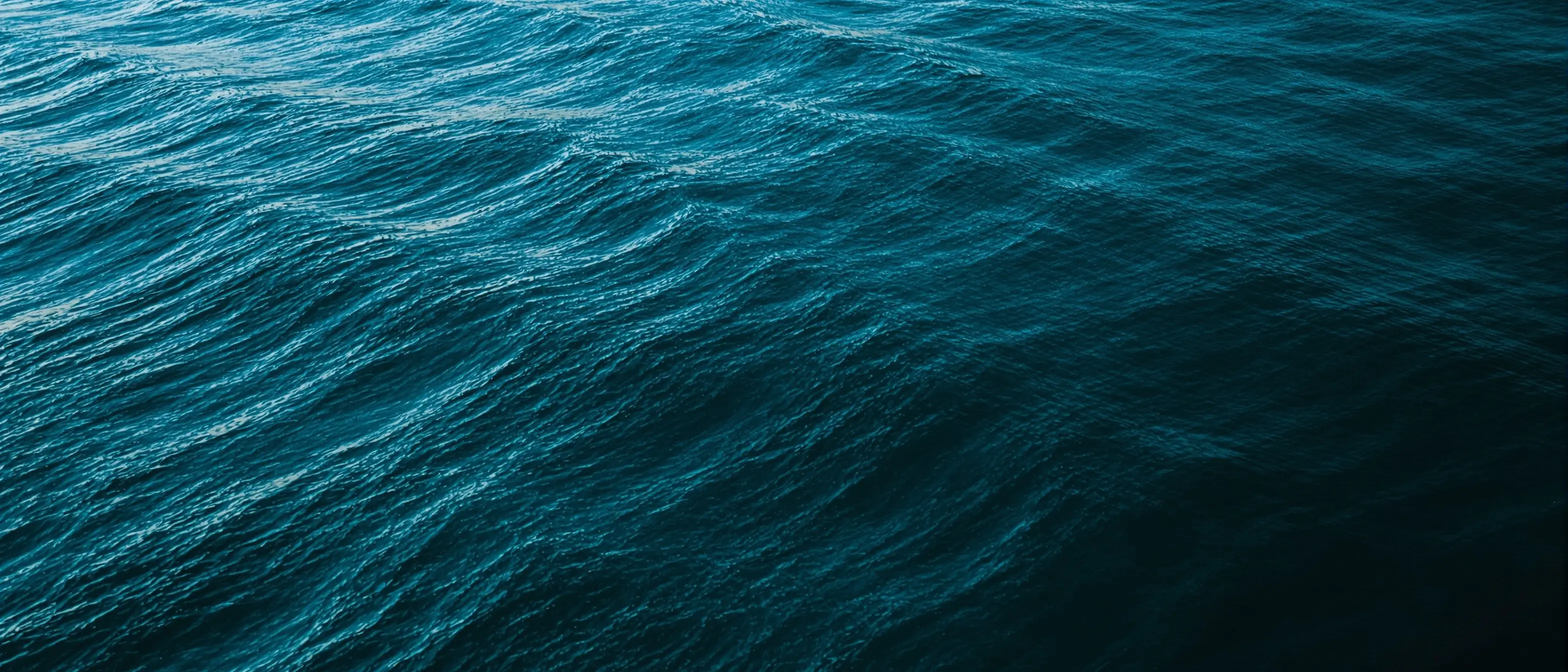 Aerial view of calm deep teal ocean water at dusk — Open Water Rx program comparison background